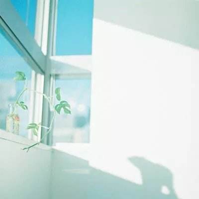梦幻神语2内购破解版下载